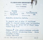 Burnatia enneandra