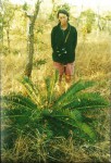 Encephalartos schmitzii